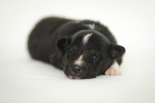 awurf3wochen_action6