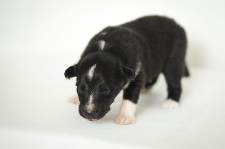 awurf3wochen_action7